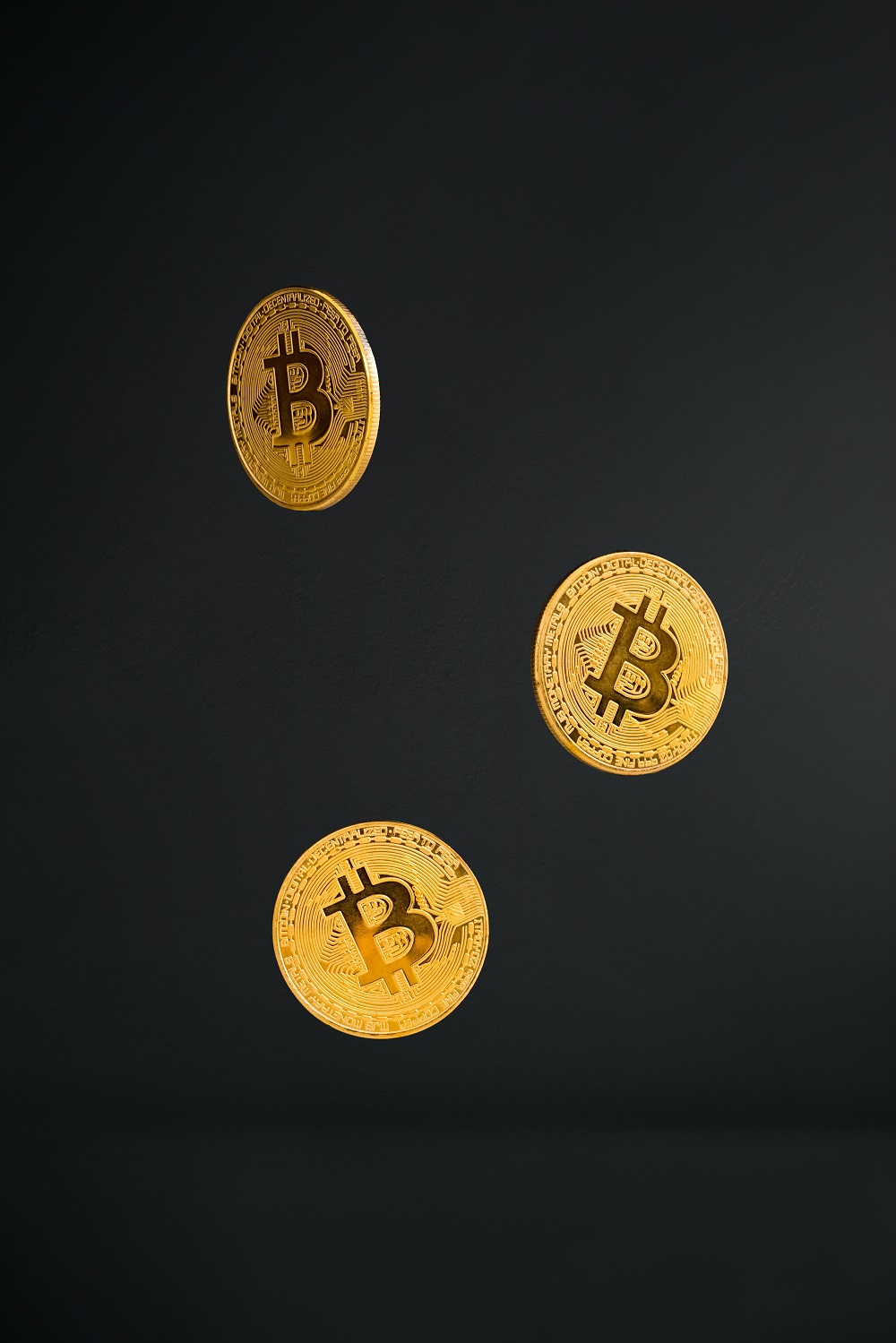 Bitcoin Cryptocurrency 