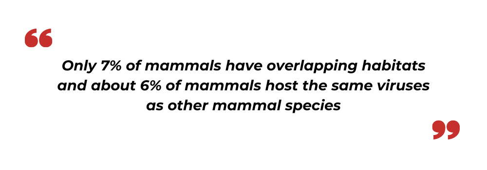 mammal species