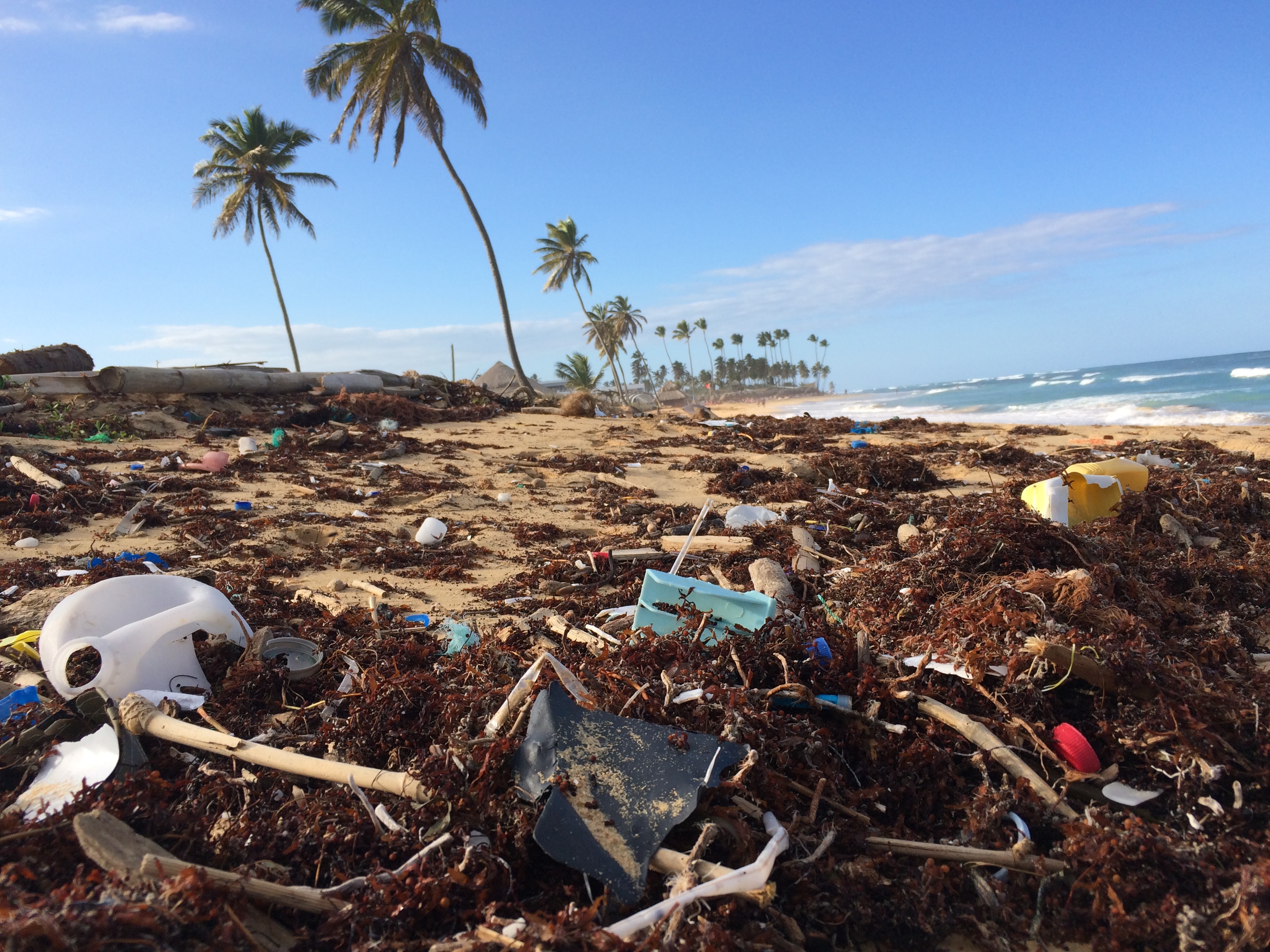 plastic waste decompose